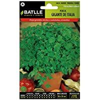Los mejores  - Semillas Hortícolas - Perejil Gigante d´Iltalia - Batlle